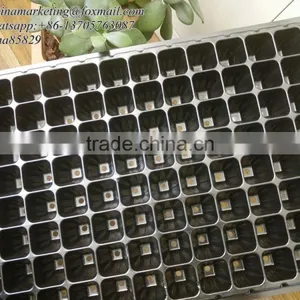 128 Cell Black PS Plastic Horticulture Plant Nursery Seed Starting Tray Manufactory Price thumbnail-2