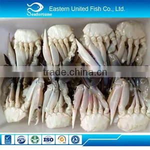 New Arrival Frozen Cut Crab From China for Europe Market thumbnail-1