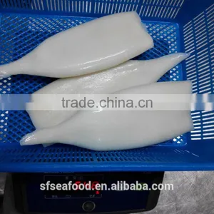 Good Quanlity and Best Price Frozen Squid Tube thumbnail-3