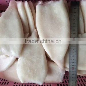 Frozen Squid Tubes With Different Size in Sale thumbnail-5