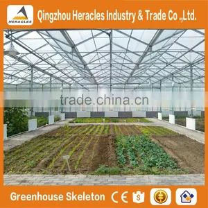 Factory Price Trade Assurance Greenhouse Equipment- Plastic Sheet Agricultural Greenhouse From China Supplier thumbnail-3