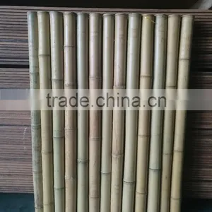 Natural Bamboo Fence thumbnail-1