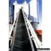 Sell Conveyor Belt thumbnail-1