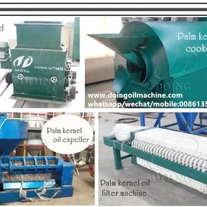 High Quality Small Scale Palm Kernel Oil Processing Plant With Kernel Shell Separator Machine thumbnail-1