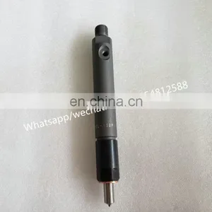 Топливный форсунка дизеля KBEL132P110 для двигателя WEICHAI WD615 thumbnail-5