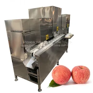 Automatic Stainless Steel Fruit Peeler Peach Apple Core Remover Peeling Machine 600-800KG/H WT/8613824555378 thumbnail-1