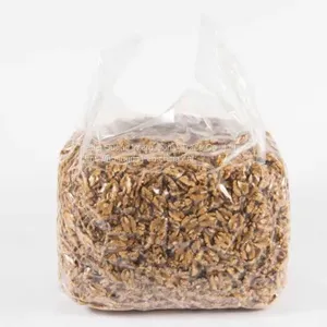 AA Walnut Kernel Light Amber & Whole Half Walnut Kernel & Balanced Walnut Kernel & Nut thumbnail-2