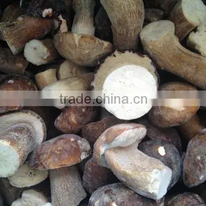 Frozen Boletus Edulis, Whole, Grade B, 4-6cm thumbnail-1