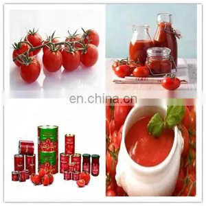 Small Scale Tomato Paste Processing Plant thumbnail-2