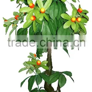 Bonsai Plants Type Evergreen Leaves Artificial Fruits Artificial Green Plants With Fruits thumbnail-1