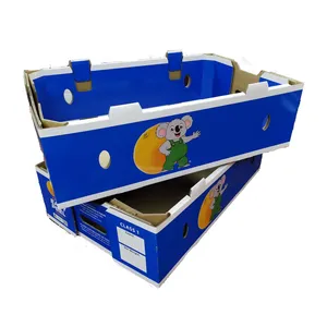 OEM Recyclable Coated Paper 1kg Orange Fruit Box for Export Shipping thumbnail-1
