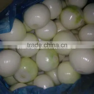 2014 New Crop Fresh Onion Peeled Onion thumbnail-1