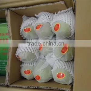 Pear Protective PE Foam Netting thumbnail-1
