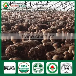 Shiitake Farm,Shiitake Growing Log/Kit,Shiitake Mushroom Log/kit thumbnail-5