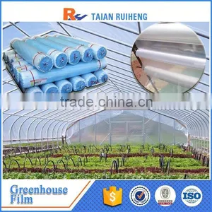 Professional Factory Greenhouse Plastic Film, PE Greenhouse Plastic thumbnail-1