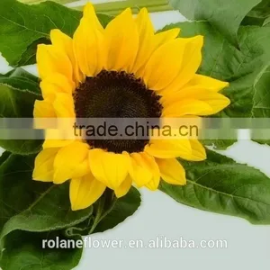 Most Popular Promotional Flower Wholesale Small Sunflower thumbnail-2