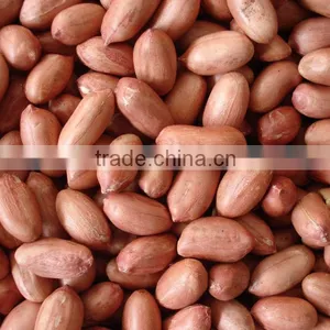 Peanut Price of Red Skin Peanut Kernel With Peanuts 1kg Price thumbnail-1