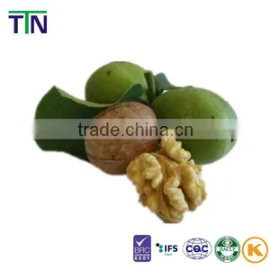 TTN New Harvest Wholesale Shelled Walnut Prices thumbnail-4