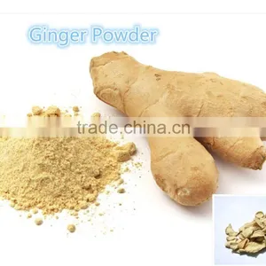 Factory Supply Ginger Powder High Quality Low Price With Kosher Certificate thumbnail-1