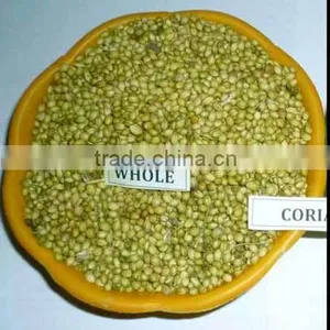 Dried Coriander Seed thumbnail-3