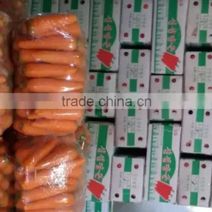 HKVIMEX'S Professional Supplier Bulk Fresh Carrots thumbnail-5