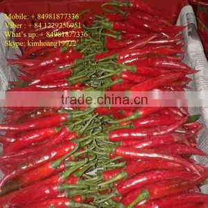 Chili Peppers thumbnail-1