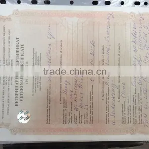 Natural Raw Honey From Russia thumbnail-5
