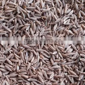 Cumin Seeds thumbnail-1