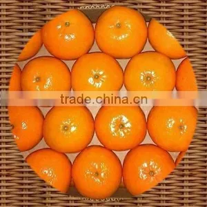 Kinnow (Mandarin) thumbnail-1