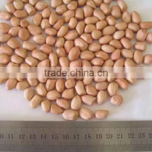 Chiness Peanut Kernel thumbnail-1