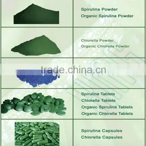 High Quality Spirulina Powder for Sale thumbnail-2