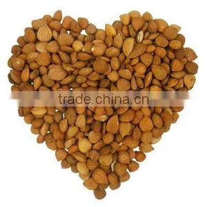 GMP Kosher Natural Apricot Kernel Extract/Amygdalin 98% thumbnail-2
