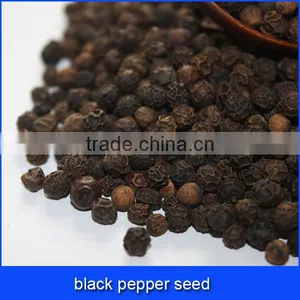 Black Pepper Seed thumbnail-1