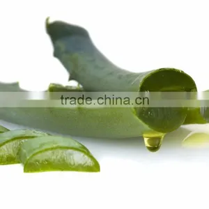 Natural Plant Extract Aloe Vera thumbnail-3