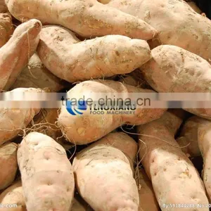 Commercial Turnip Fruit Vegetable Washing and Peeling Potato Ginger Washer and Peeler Machine thumbnail-4