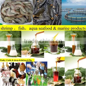Gmo Free Soy Lecithin From China Manufacturer thumbnail-2