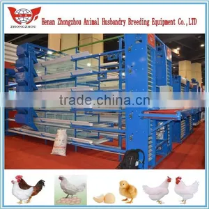 Hot Chicken Layer Cage/ Hens Chicken Cage/chicken Farm/poultry Farm thumbnail-5