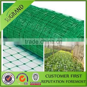 Vegetables Net thumbnail-1