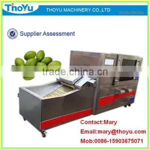 China Most Professional Olive Kernel Separater (SMS: 0086-15903675071) thumbnail-1