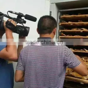 Catfish Drying Machine Fish Dryer thumbnail-2