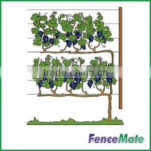 Hot Sale Vineyard Trellis thumbnail-2