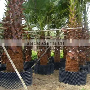 Fast Grow Rapid Cultivating Root Container thumbnail-3
