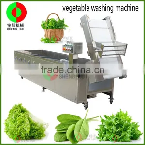 Factory Produce and Sell Commercial Automatic Sugar Beet Bubble Washing Machine thumbnail-4