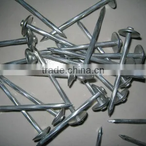 Galvanized Roofing Nail thumbnail-1