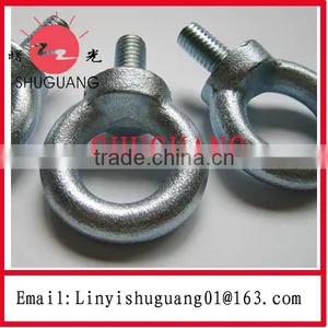 Electric Galvanized Din580 Eye Bolt thumbnail-1
