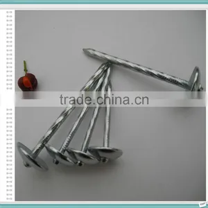 Galvanized Roofing Nails for Turkey Market thumbnail-3