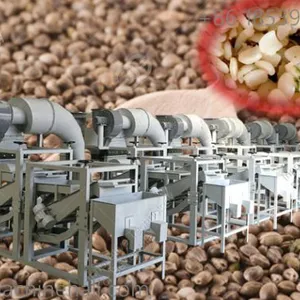 Commerical Use Hemp Seed Processing Equipment for Sale Hemp Seeds Shelling Machine Supplier thumbnail-1