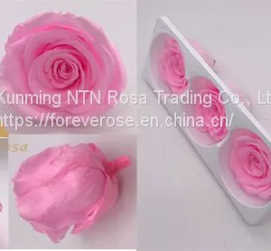 Preserved Rose Heads Look Like Artificial Flowers? It′s 100% Real!40 Colors 6-7cm Preserved Fresh Flower for Hotel Decoration thumbnail-2