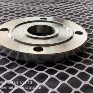 Pure or Alloy Titanium Forged Flange ASTM B16.5 or EN1092-1 thumbnail-3