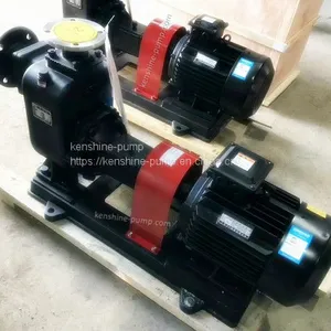 PW,PWF Horizontal Sewage Pump thumbnail-4